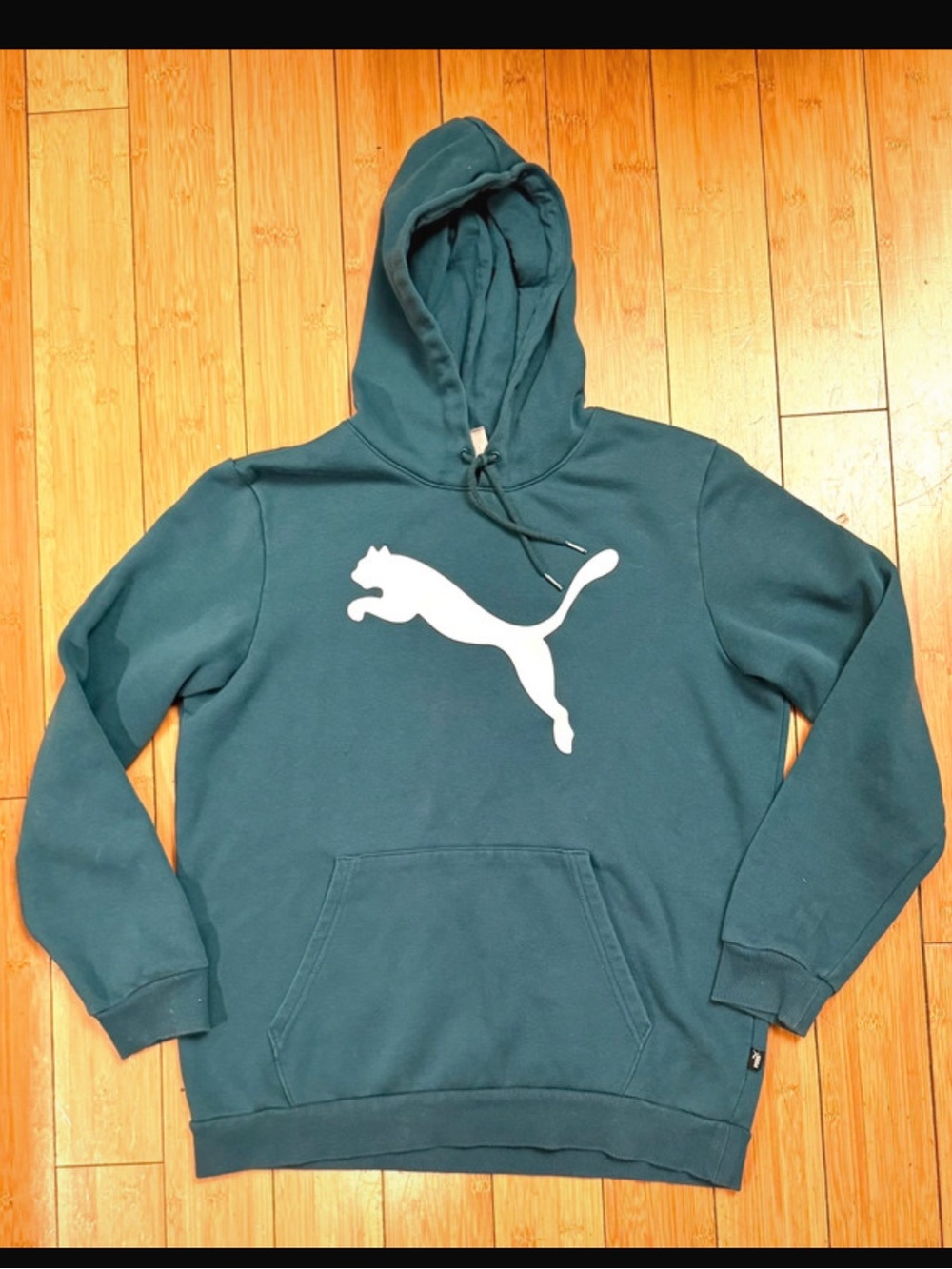 Puma Hoodie Sweatshirt Teal Size Medium